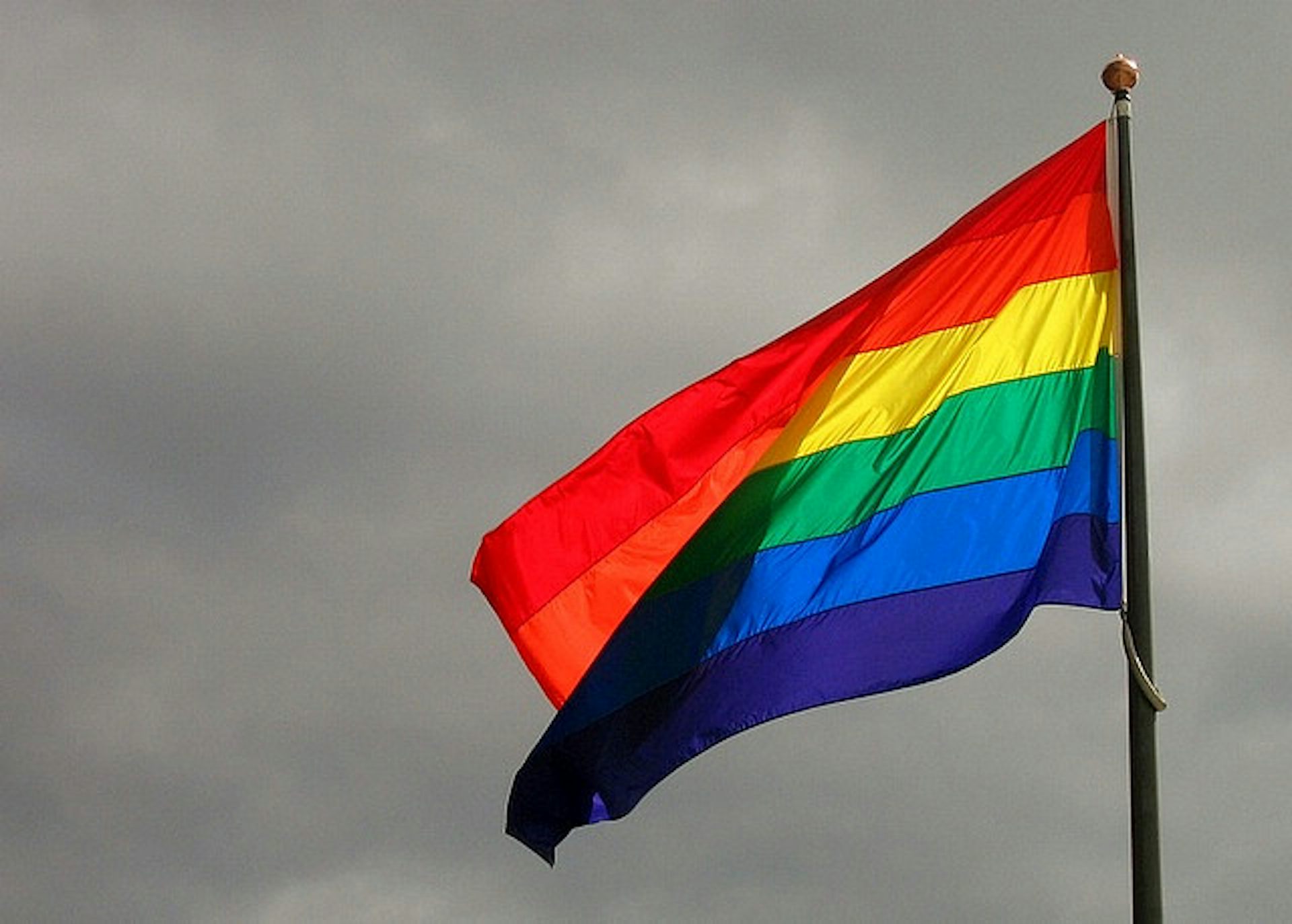 word in format auto undo homophobia homophilia: From medicine of future face the to