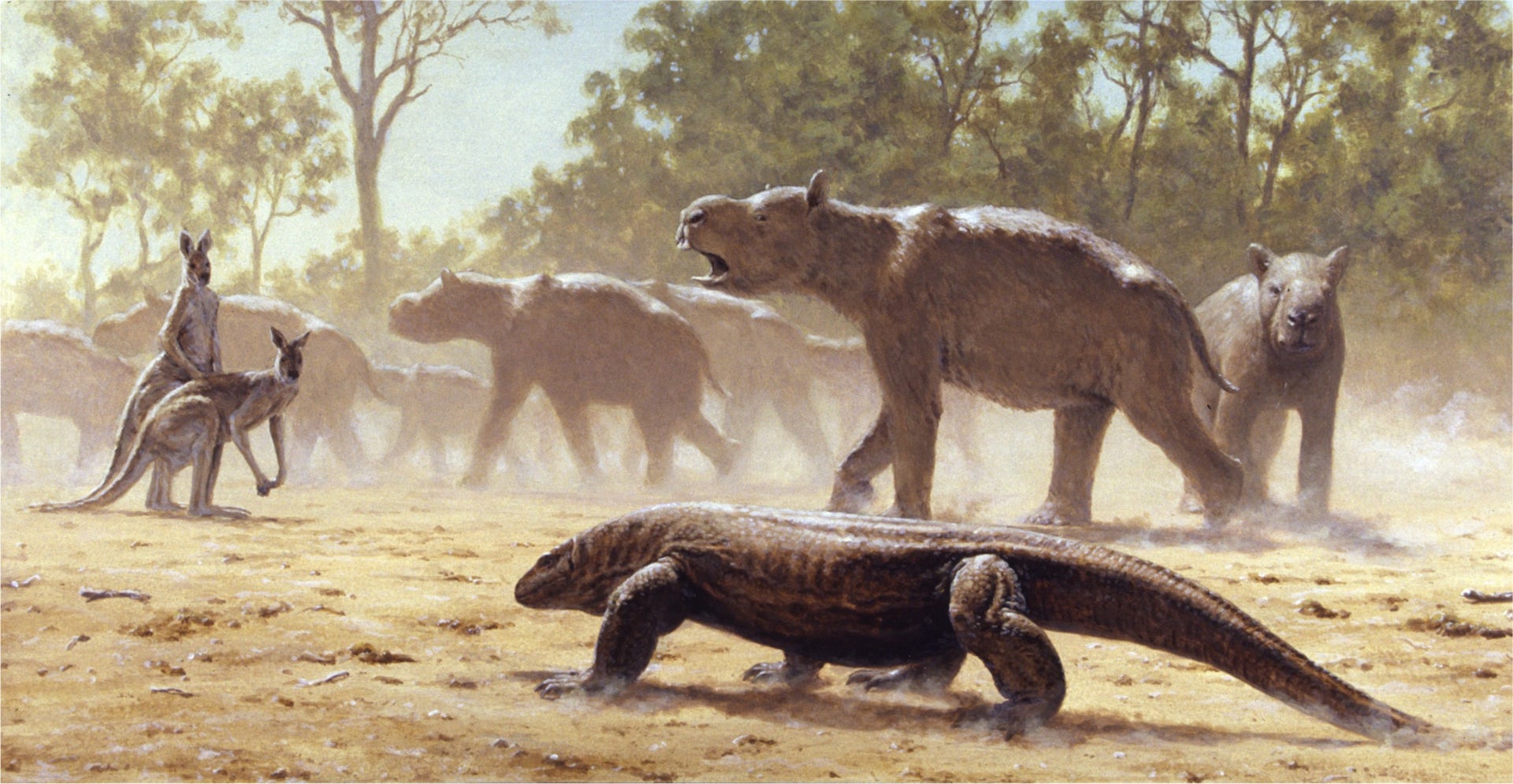 Giant marsupials once migrated across an Australian Ice Age landscape
