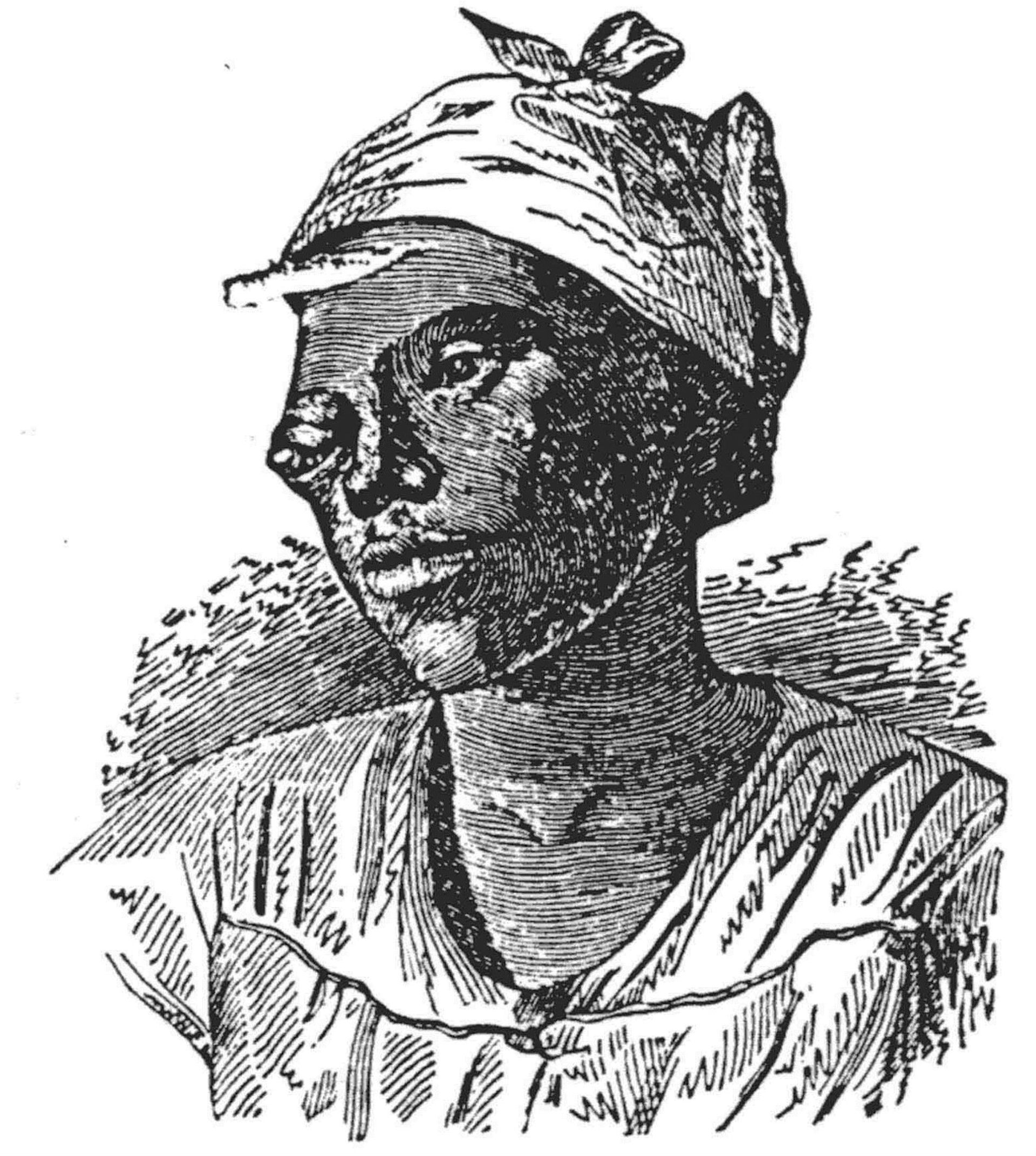 How black slaves were routinely sold as 'specimens' to ambitious white