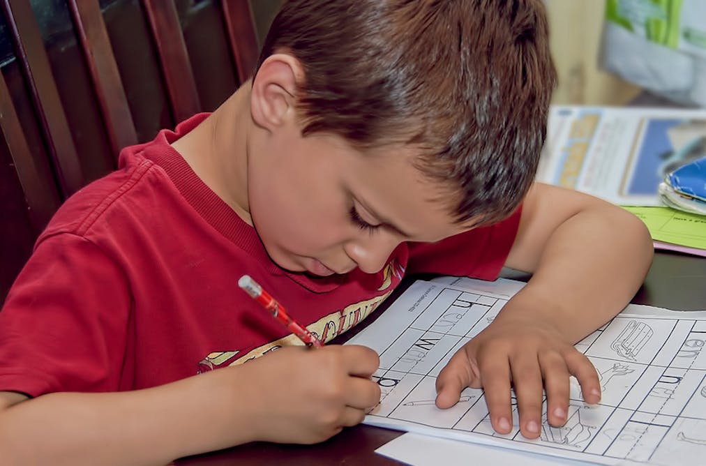 Does homework help you learn more